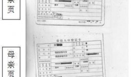 老爹黑料爆料视频大全,视频大全深度剖析