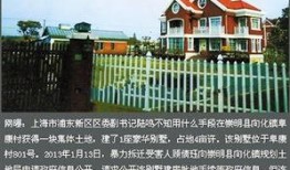 深圳东方最新爆料,揭秘行业背后惊人内幕